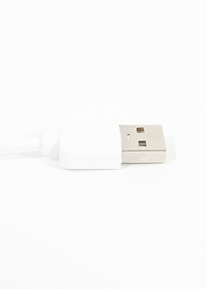 SG Electronics SC216-C20 USB-C Fast Charge &amp; Data Cable 에스지일렉트로닉스 USB-C 급속 충전 데이터 케이블 (A-C,20cm 국내정품 당일발송)