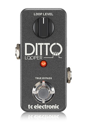 [일시품절] TC Electronic Ditto Looper 티씨일렉트로닉 디토 루퍼 (국내정식수입품)