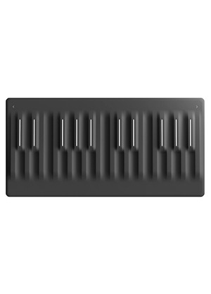 [일시품절] ROLI Seaboard Block 롤리 시보드 블록 24건반 컨트롤러 (국내정식수입품)