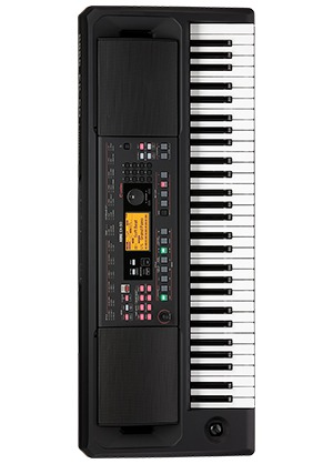 Korg EK-50 Limitless Entertainer Keyboard 코르그 이케이피프티 리미트리스 61건반 엔터테이너 키보드 (국내정식수입품)