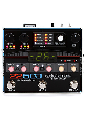 Electro-Harmonix 22500 일렉트로하모닉스 투에니투사운전트파이브헌드레드 듀얼 스테레오 루퍼 (국내정식수입품)