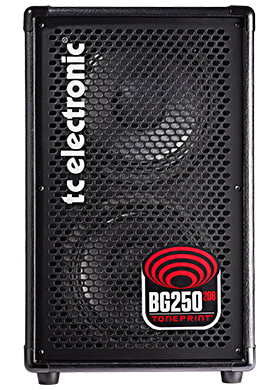 TC Electronic BG250 208 티씨일렉트로닉 비지투피프티 투오에이트 톤프린트 250와트 2x8인치 베이스 콤보 앰프 (국내정식수입품)