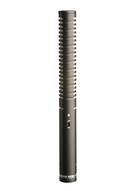 Rode NTG1 Premium Shotgun Microphone 로드 엔티지원 프리미엄 샷건 마이크 (국내정식수입품)