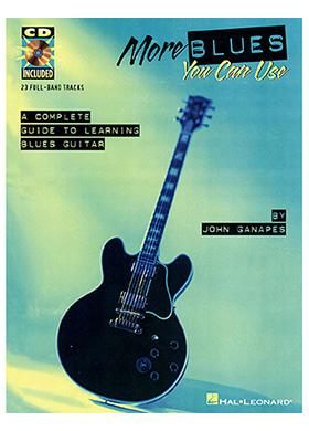 Hal Leonard More Blues You Can Use 할레너드 모어 블루스 유 캔 유즈 (국내정식수입품)