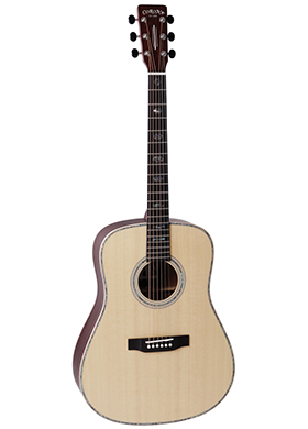 Corona IDEA DM1100 코로나 이데아 드레드노트 어쿠스틱 기타 네츄럴 유광 (국내정품)