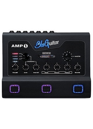 BluGuitar AMP1 Iridium Edition 블루기타 앰프원 100와트 진공관 헤드 이리듐 에디션 (국내정식수입품)
