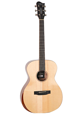 Corona ABF-200 코로나 에이비에프 탑솔리드 포크 베벨 컷 어쿠스틱 기타 네츄럴 유광 (국내정품)