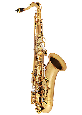 Antigua TS3100LQ Tenor Saxophone 안티구아 테너 색소폰 (국내정식수입품)
