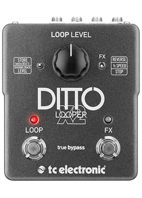 [일시품절] TC Electronic Ditto X2 Looper 티씨일렉트로닉 디토 엑스투 루퍼 (국내정식수입품)